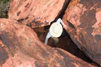 13-Kenny_climbed_through_a_'rabbit_hole'