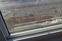 17-spider_living_in_house_on_3rd_floor_loft_window_making_web_trying_to_catch_prey