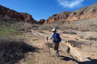 04-approaching_canyon-lots_of_greenery_due_to_rains_this_Winter