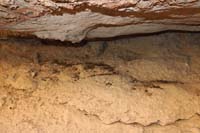 06-lots_of_evidence_of_animal_activity-although_maybe_old_since_more_humans_hiking_in_canyon