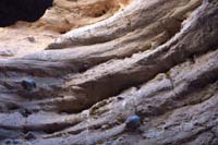 15-lots_of_evidence_of_owl_poop-no_owls
