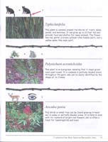 64-Chattahoochee_River_NRA_Junior_Ranger_program17-number_46