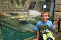 39-Kenny_with_crocodile_at_Mandalay_Bay_Shark_Reef-fee_tickets_by_mailing_IRS_letters_on_tax_day