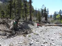 06-entering_wash-each_went_a_different_way