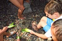 57-Kenny_feeding_the_desert_tortoise