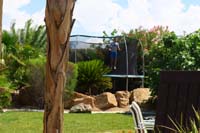 27-Aiden's_Summer_pool_party_at_their_house-trampoline_fun