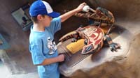 76-checking_out_the_insides_of_a_gila_monster