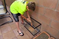 11-pouring_sand_we_collected_into_aquarium_in_backyard