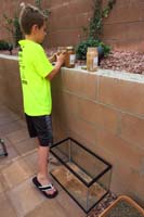 12-three_containers_with_dry_and_wet_sand