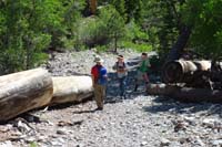 02-kids_playing_around_on_the_trail