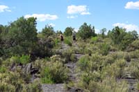 27-quite_a_bit_of_vegetation-lots_of_cairns_marking_the_way