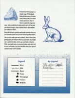 64-Junior_Ranger_Program-Petroglyph_NM-05