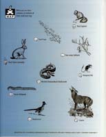 68-Junior_Ranger_Program-Petroglyph_NM-09