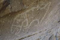 048-petroglyph_of_a_macaw