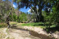 050-more_of_Frijoles_Creek-upstream