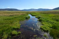 25-East_Fork_Jemez_River-big_herd_of_elk_in_distance