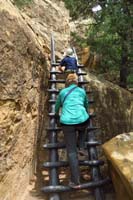 092-up_a_ladder_we_go