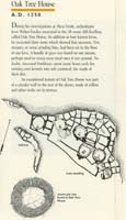 143-Mesa_Top_guide10-Oak_Tree_House-AD_1250