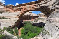 25-Sipapu_Bridge-very_neat_to_see_all_the_vegetation