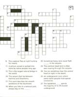 77-Junior_Ranger_Program-Natural_Bridges_NM-15