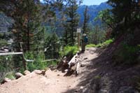 19-we_still_wanted_more_hiking_so_we_took_a_trail_to_right_for_a_little_ways