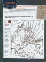 25-Junior_Ranger_Program-Curecanti_NRA-11