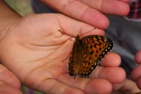 021-they_traded_places_holding_the_butterfly-who_needs_a_discovery_center-we_discover_on_our_own