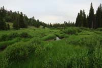 060-Beaver_Ponds_Wetlands-very_neat_treasure