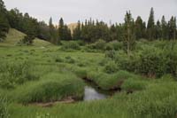 061-Beaver_Ponds_Wetlands-SLR