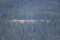 122-zoom_view_of_Grand_Ditch-snow_melt_from_western_side_of_Continental_Divide_moved_to_eastern_side
