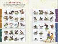 138-Junior_Ranger_Program-Rocky_Mountain_NP-04