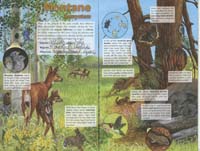 139-Junior_Ranger_Program-Rocky_Mountain_NP-05