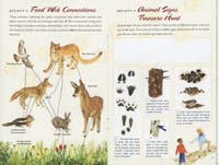 140-Junior_Ranger_Program-Rocky_Mountain_NP-06
