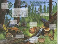 141-Junior_Ranger_Program-Rocky_Mountain_NP-07