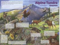 143-Junior_Ranger_Program-Rocky_Mountain_NP-09