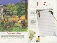 146-Junior_Ranger_Program-Rocky_Mountain_NP-12