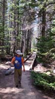 06-very_nice_to_hike_through_forest_with_very_few_people_in_afternoon_unlike_Alberta_Falls_day_before