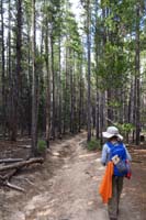 21-hiking_through_the_woods_to_another_bus_stop_to_transport_us_back_to_trailhead_to_our_vehicle