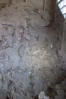 009-fossils_from_right_to_left