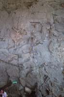 010-fossils_from_right_to_left