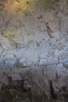 012-fossils_from_right_to_left