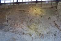 013-fossils_from_right_to_left