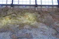 014-fossils_from_right_to_left