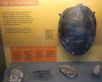 034-Interpretive_Sign-Life_in_the_Rivers