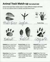 097-Junior_Ranger_Program-Dinosaur_NM-10