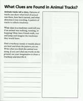 098-Junior_Ranger_Program-Dinosaur_NM-11