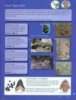 110-Junior_Ranger_Program-Junior_Paleontologist-07