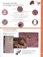 112-Junior_Ranger_Program-Junior_Paleontologist-09