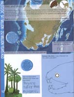117-Junior_Ranger_Program-Junior_Paleontologist-14