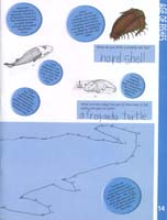 118-Junior_Ranger_Program-Junior_Paleontologist-15